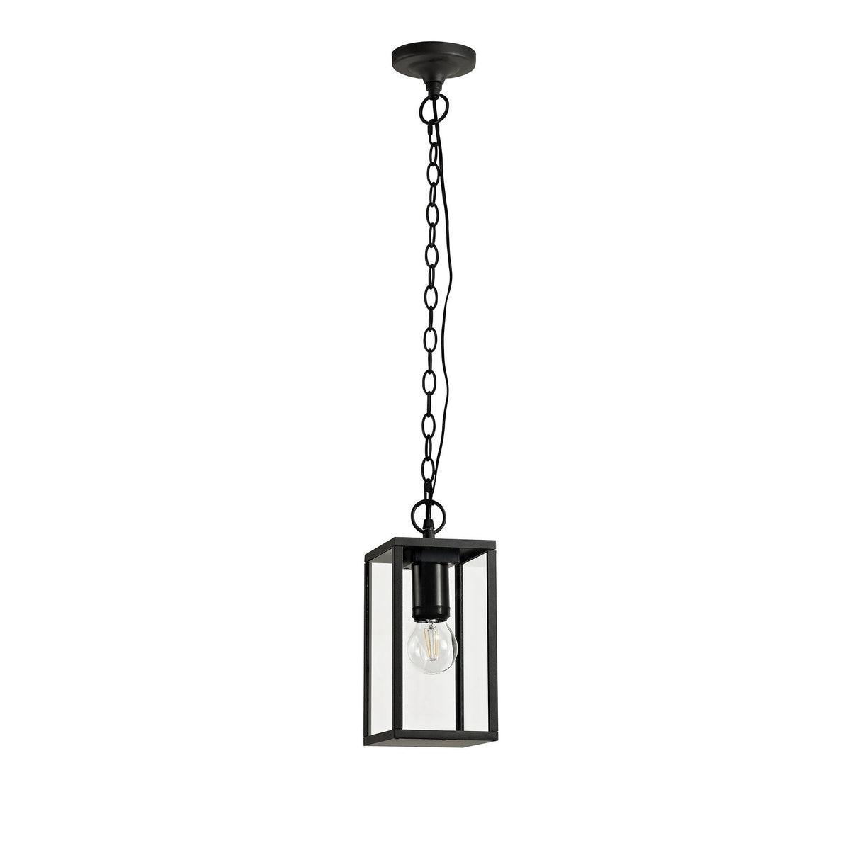 Graphite Black Hanging Pendant Light with Clear Shade, E27, IP54, 2-Year Warranty