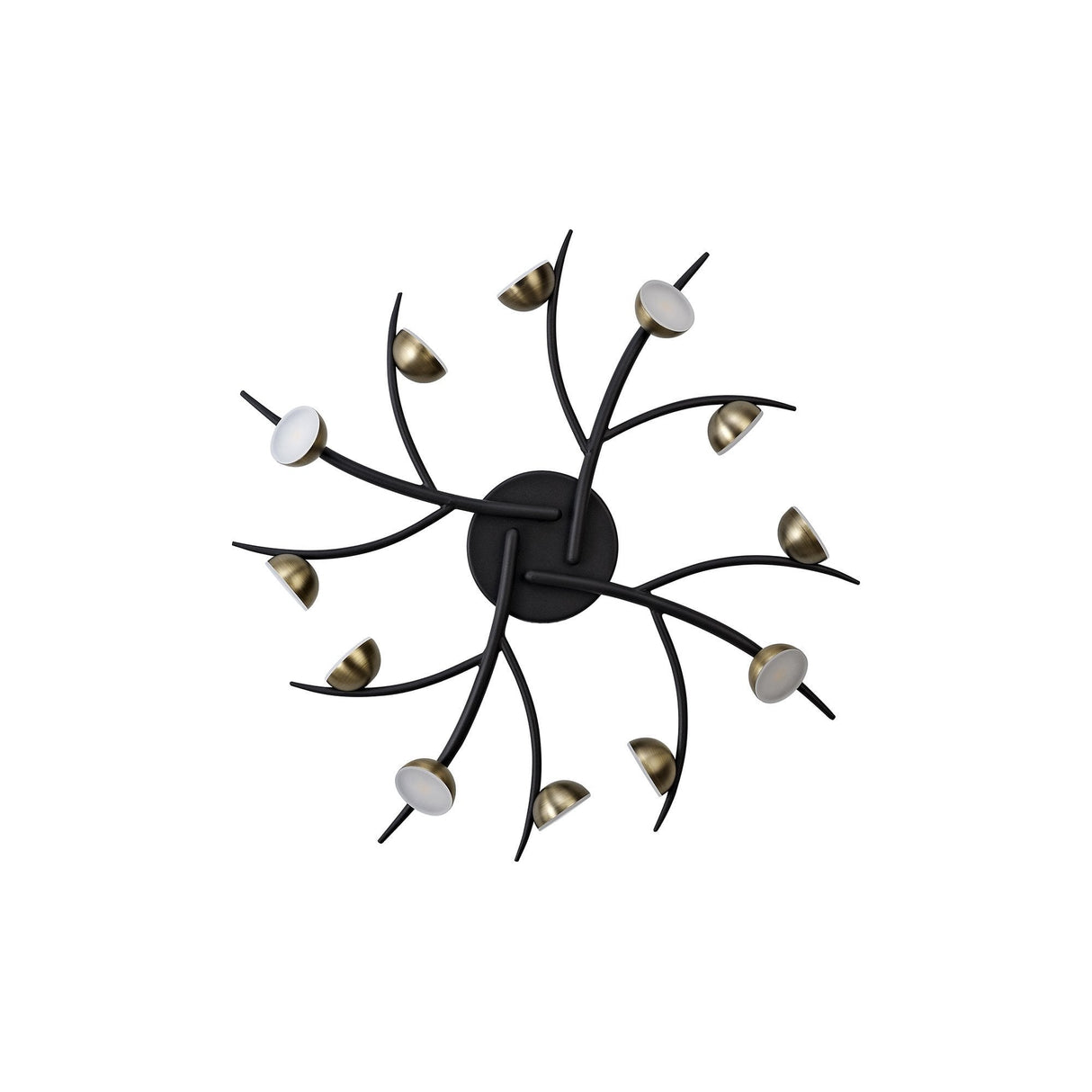 Contemporary 12-Light LED Fixture, 3W Each, 3000K Warm Glow, Black with Antique Brass Finish