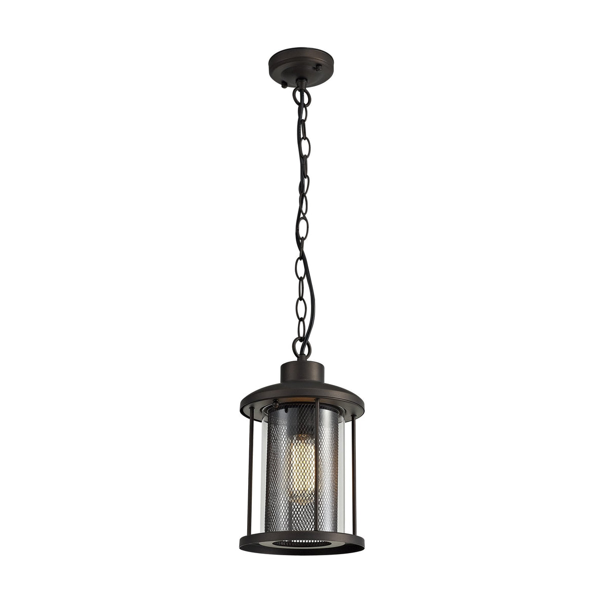 Antique Bronze & Clear Glass Pendant Light, E27, IP54, Adjustable Drop