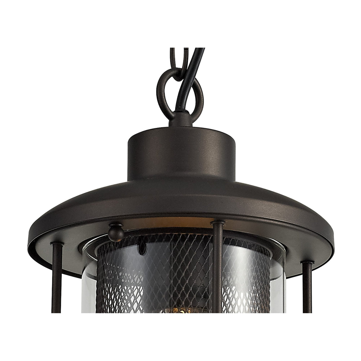 Antique Bronze & Clear Glass Pendant Light, E27, IP54, Adjustable Drop