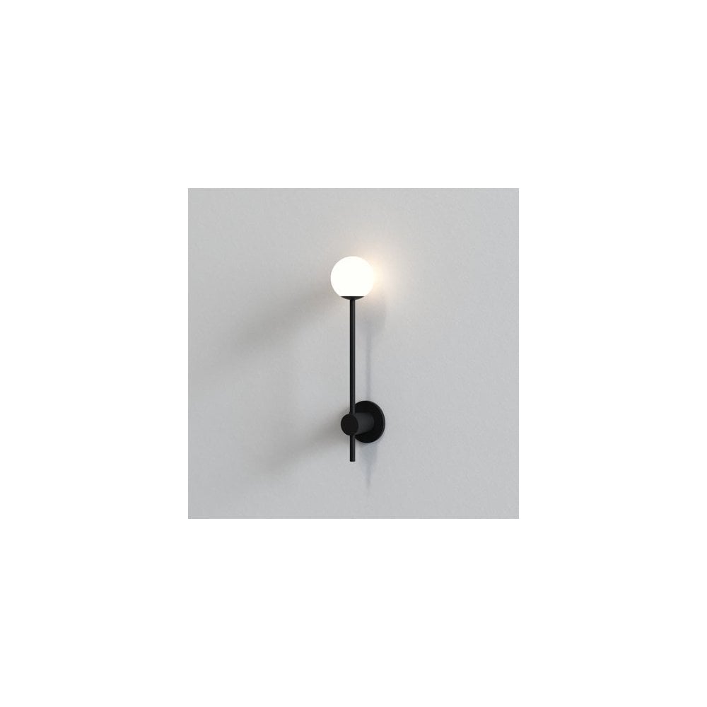 Matte Black Wall Sconce with Globe Shade, IP44