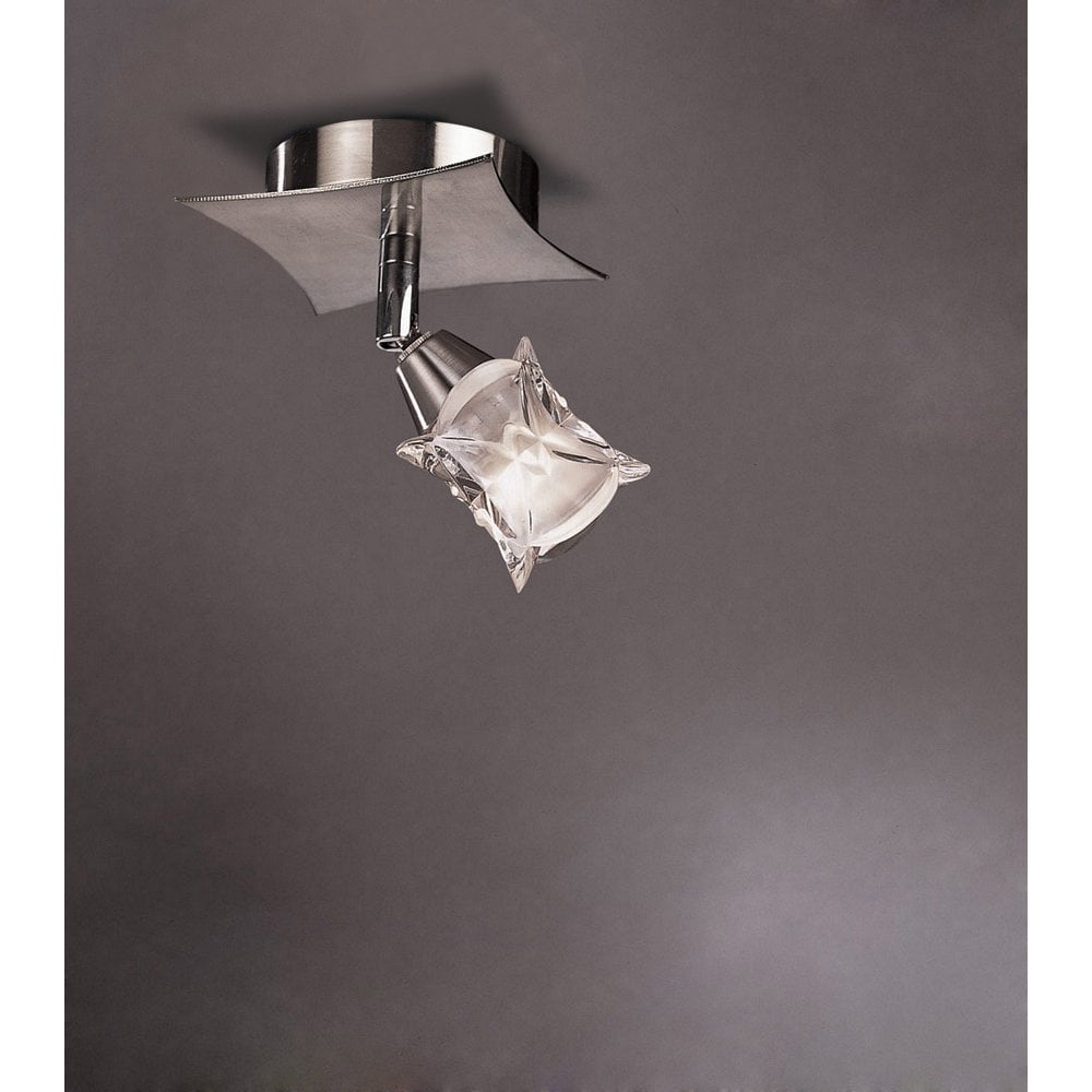 Satin Nickel Rosa Del Desierto Adjustable Spot Lamp with Frosted Glass Shade