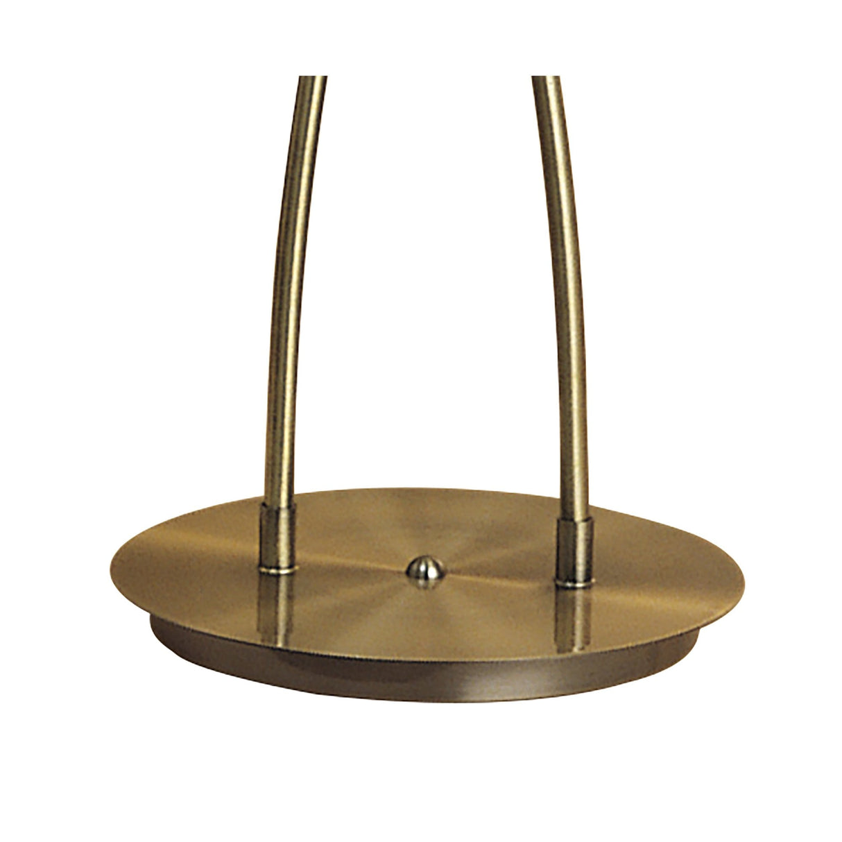 Rosa Del Desierto Antique Brass Floor Lamp with Dual G9 Lights