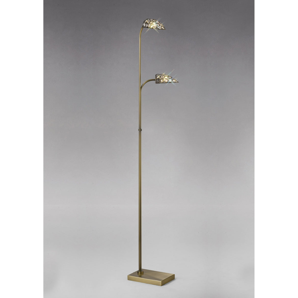 Ashton Antique Brass and Crystal Floor Lamp with Dual Light Design