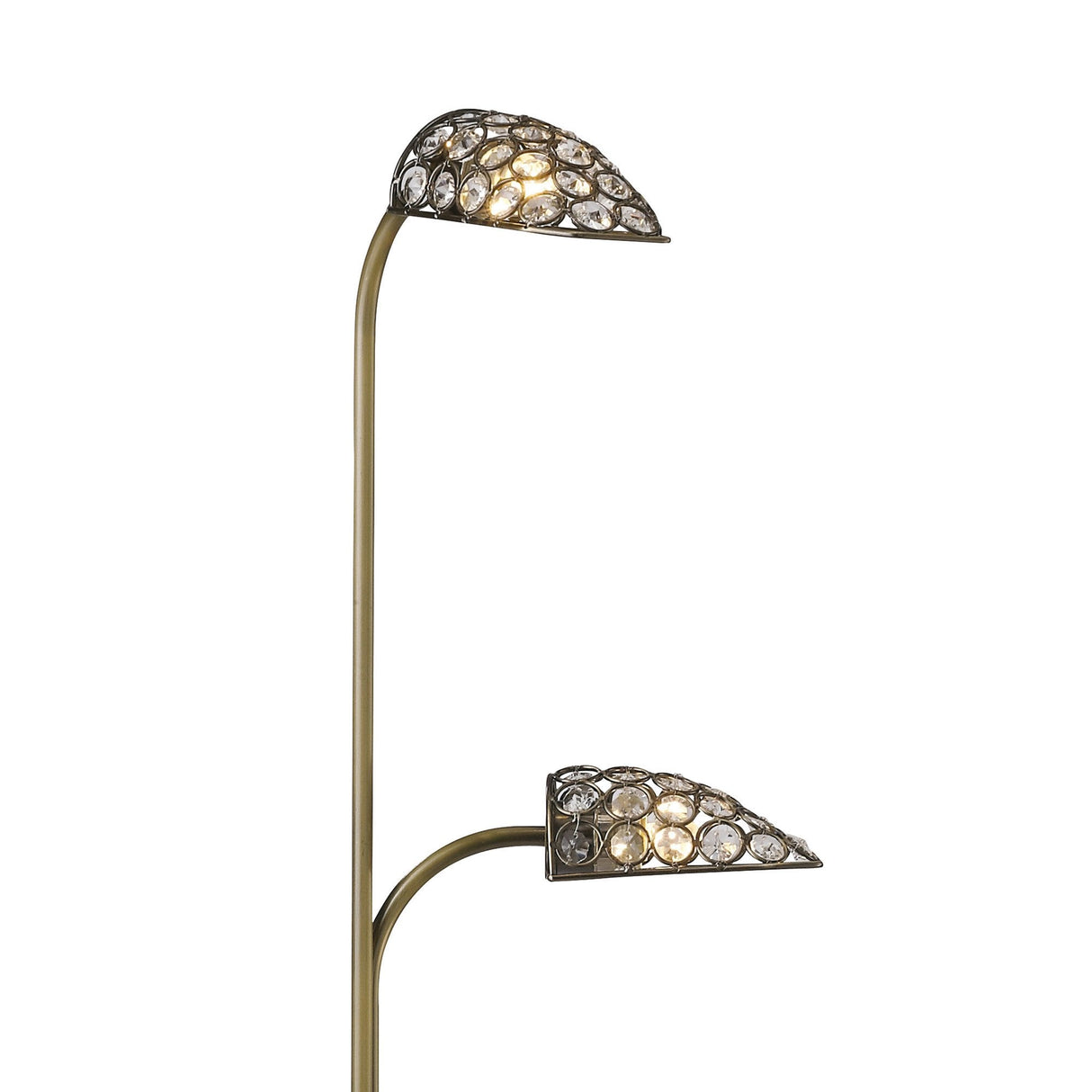 Ashton Antique Brass and Crystal Floor Lamp with Dual Light Design
