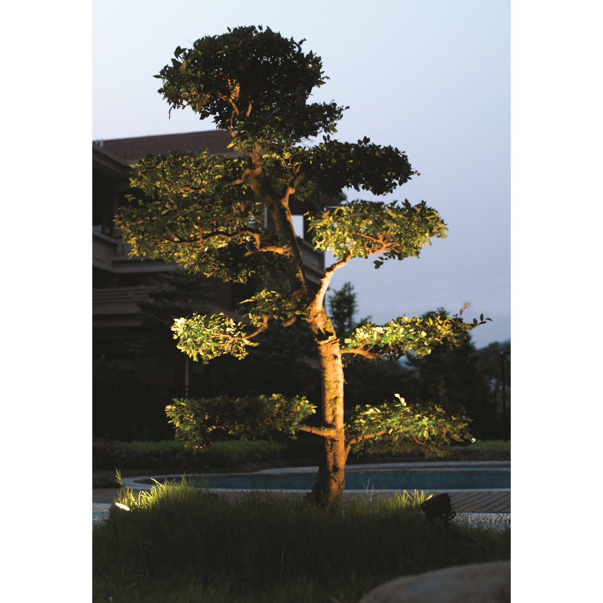 Monza Black Resin Wall & Spike Spot Light