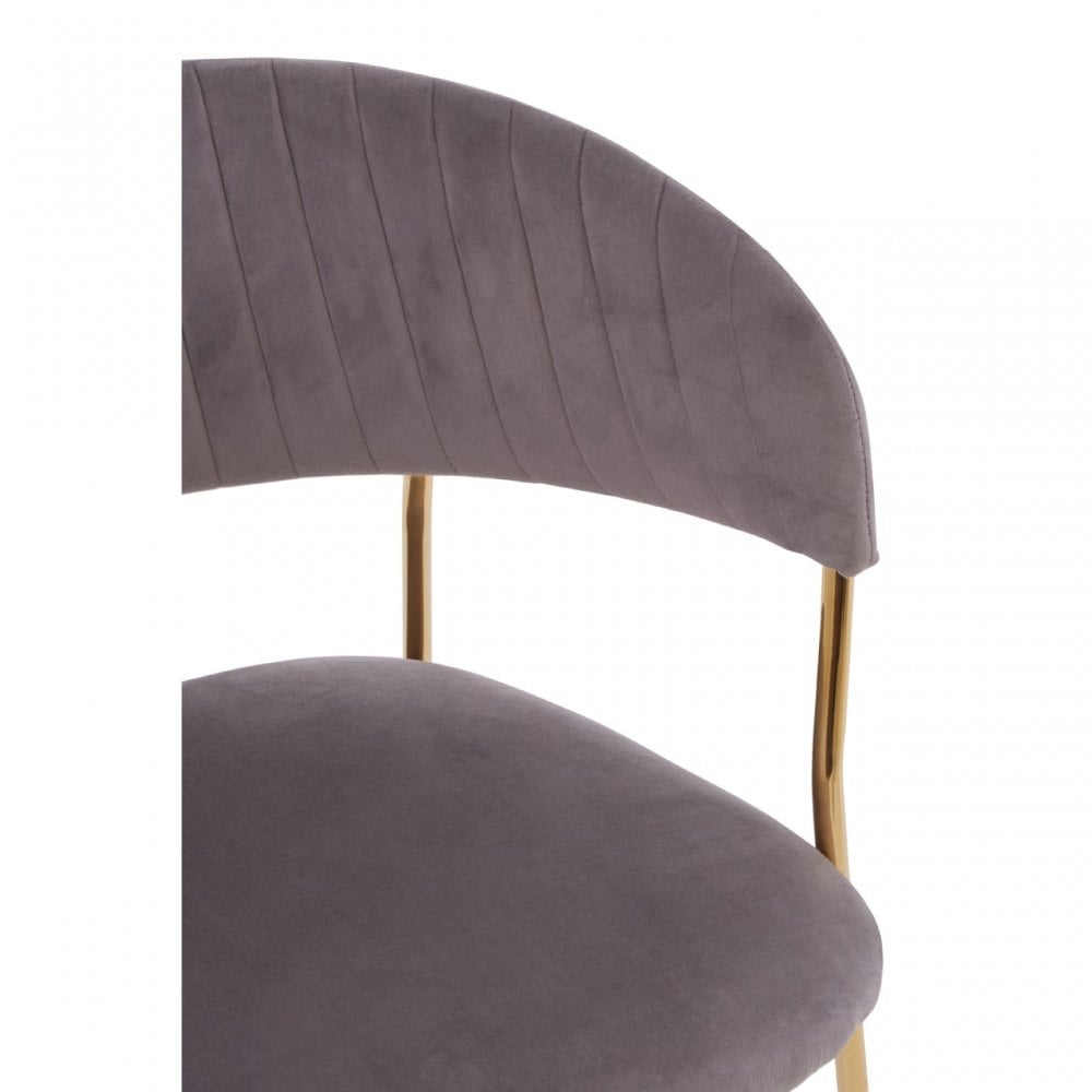 Tamzin Mink Channel Gold Finish Dining Chair, Brown