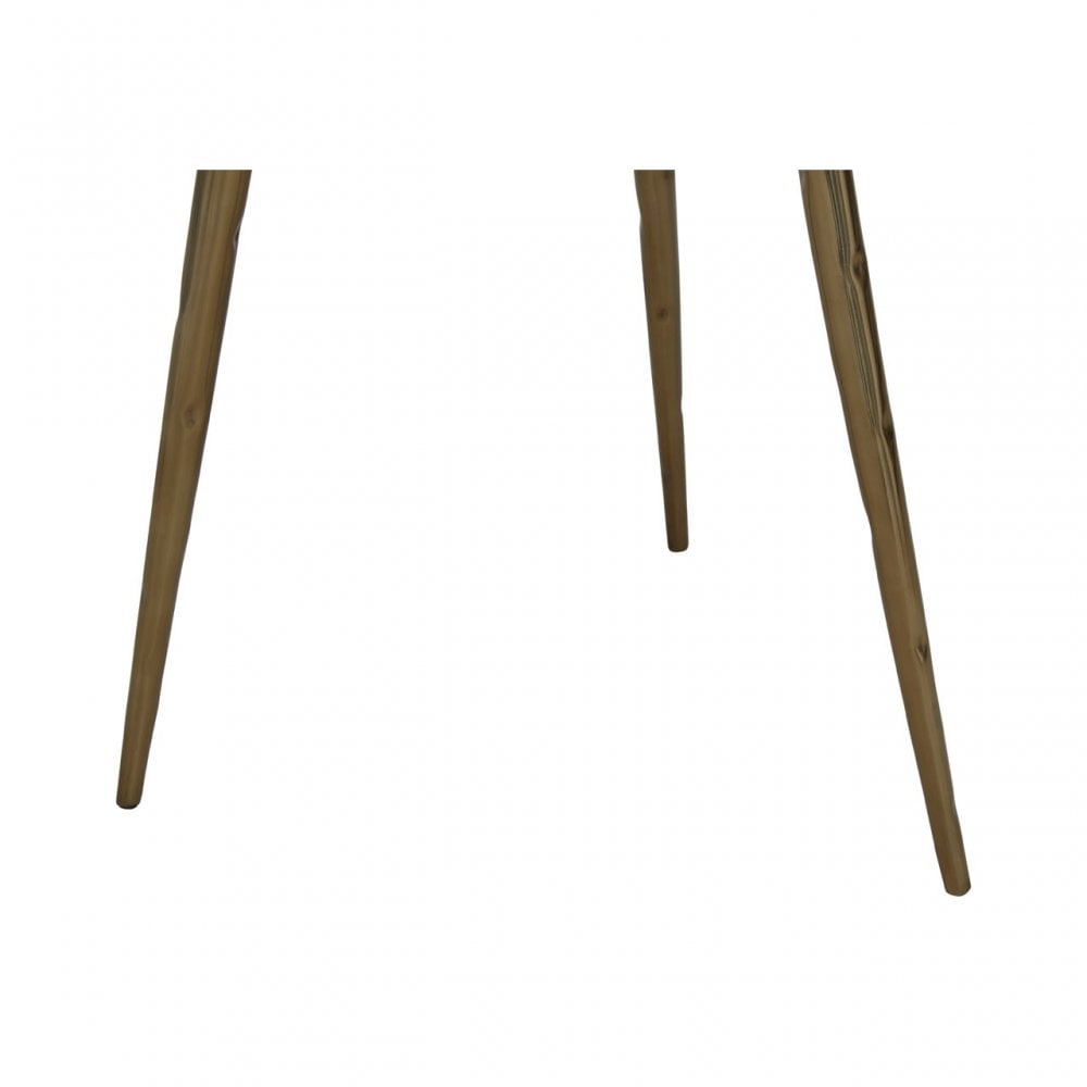 Relic Side Table with Petrified Wood Top, Brown