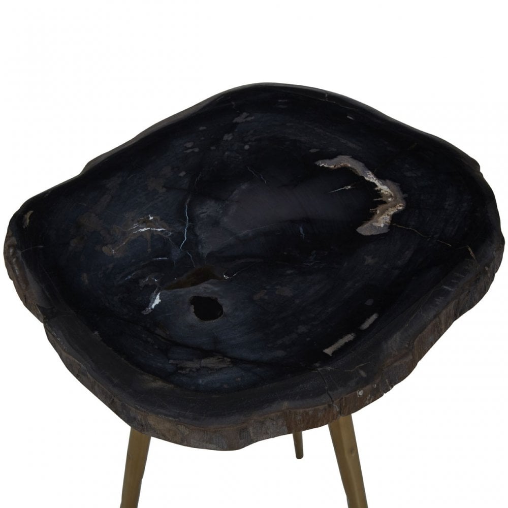 Relic Side Table with Petrified Wood Top, Brown