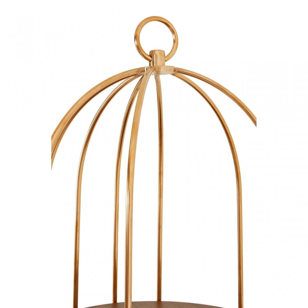 Horizon Large Cage Design Bookshelf, Rose Gold