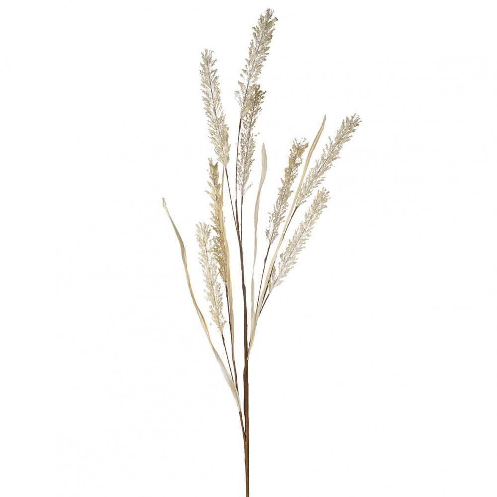 Wild Grass Spray Cream H900mm