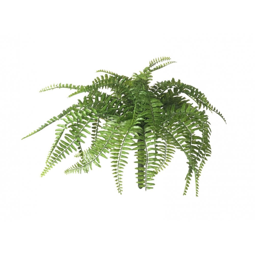 Fern Boston H260x480mm Green