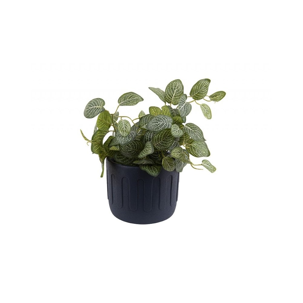 Plant Pot Drips Medium, Dark blue, Blue