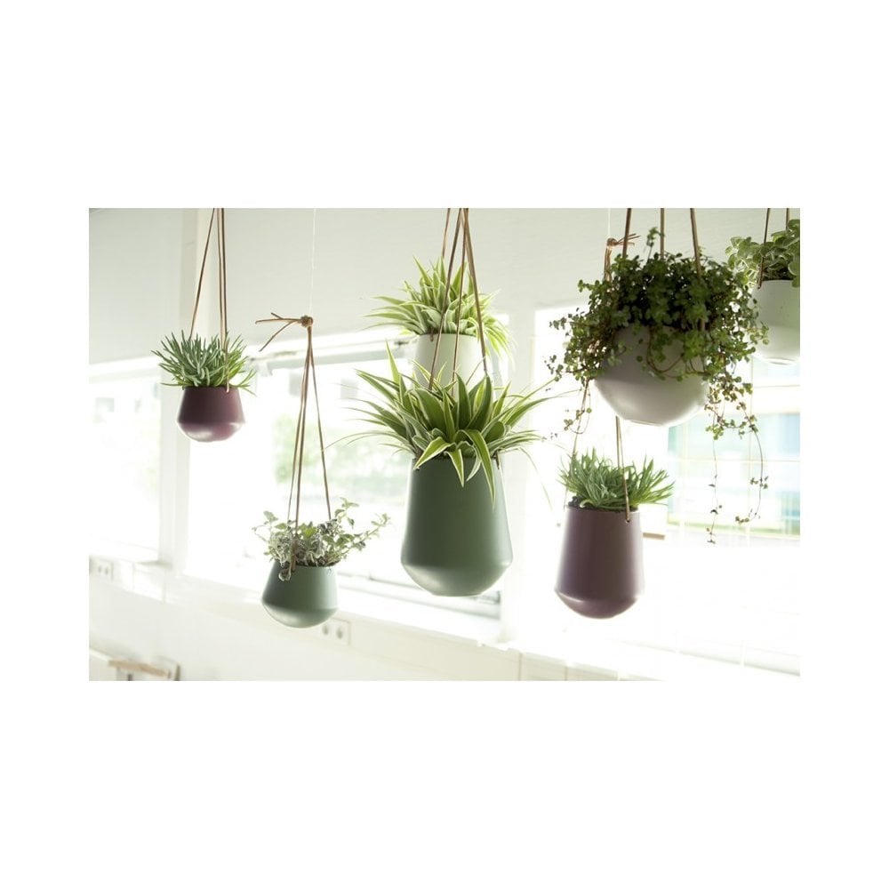 Hanging Pot Skittle Medium, Jungle green, Green