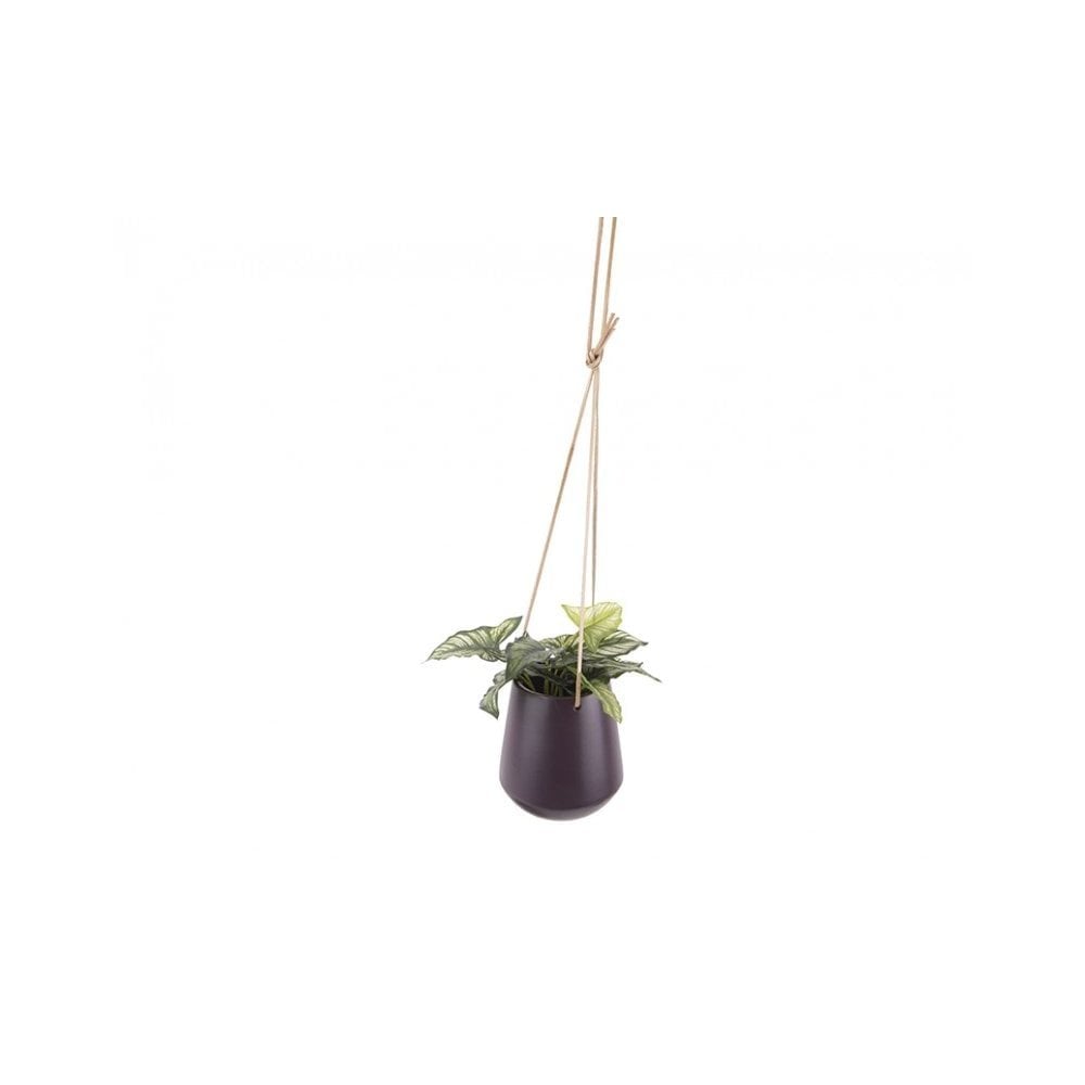 Hanging Pot Skittle Medium, Dark purple, Purple