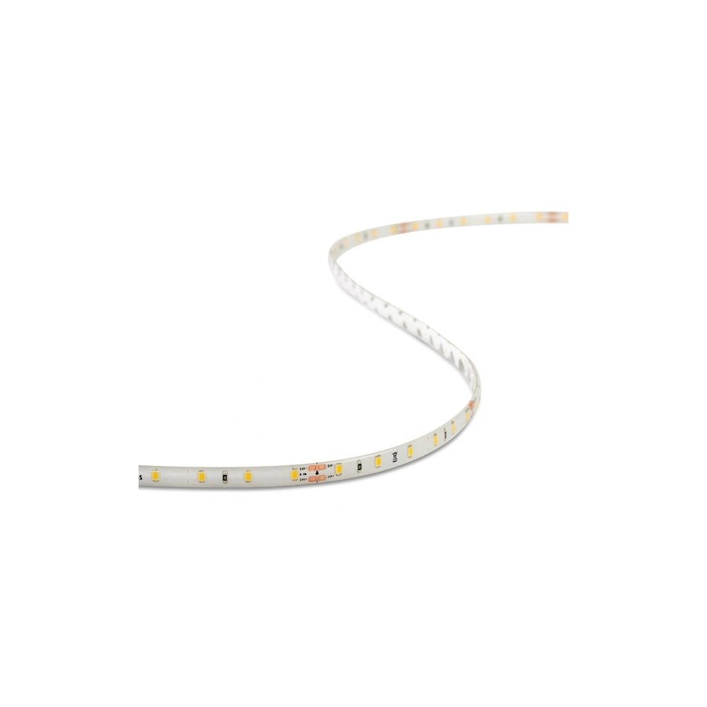 Ultimate Flex 4K Cool White LED Strip Light (IP44, 4.8W/m)