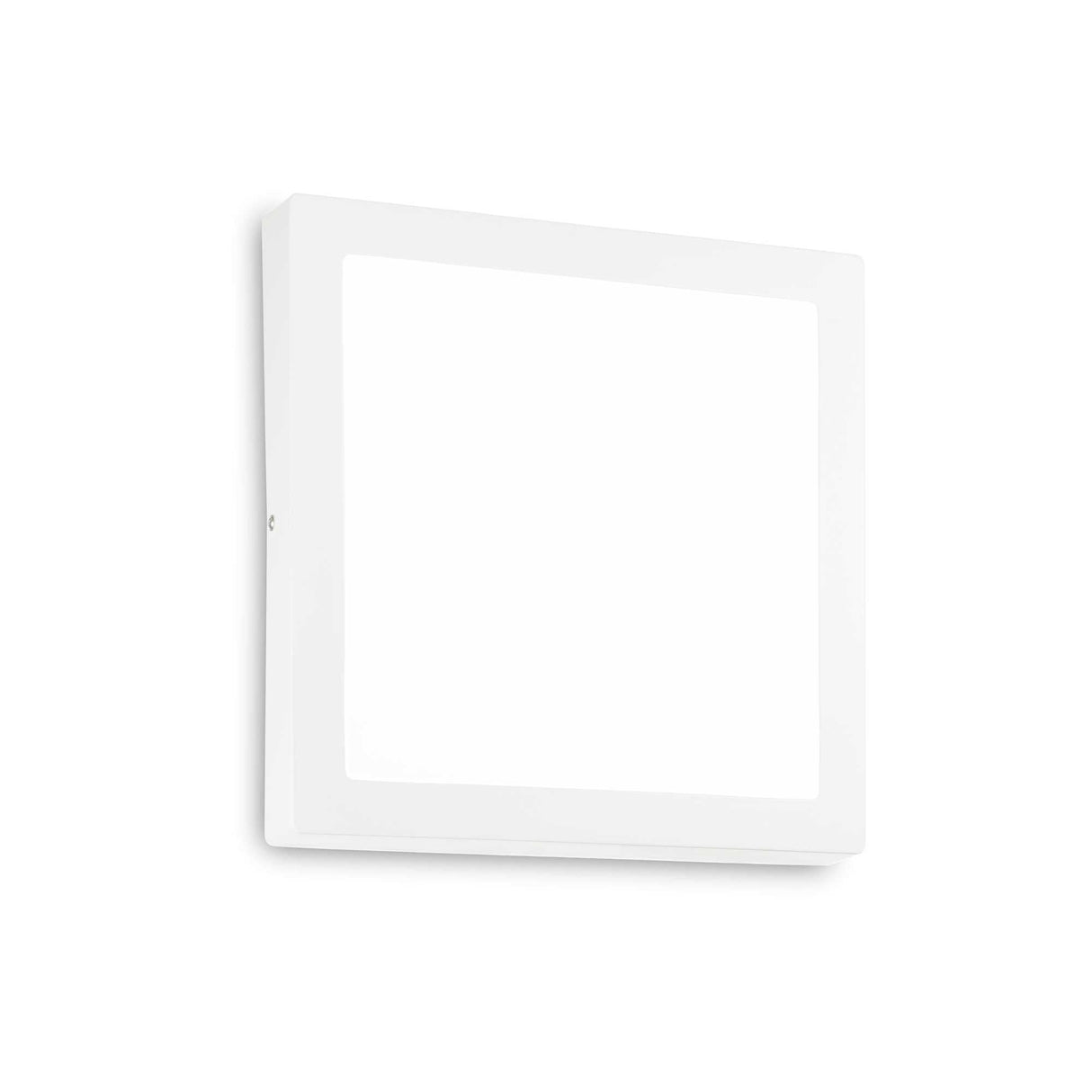 Modern Square 24W LED Wall Light Fixture