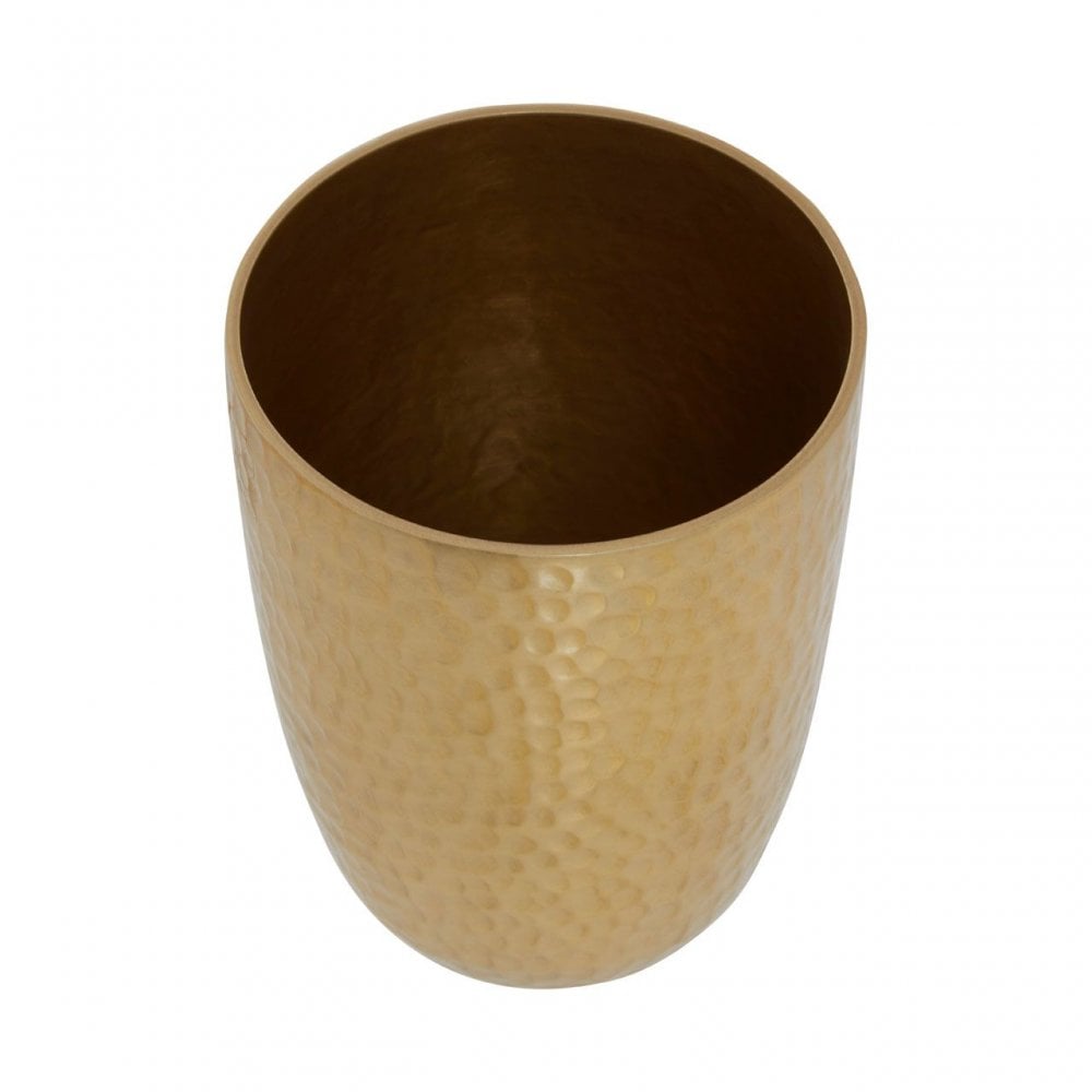 Allegra Gold Finish Tumbler - 300Ml