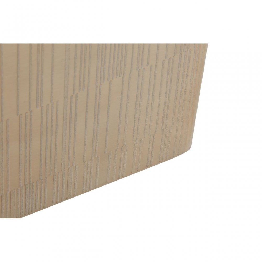 Allegra Champagne Finish Tissue Box