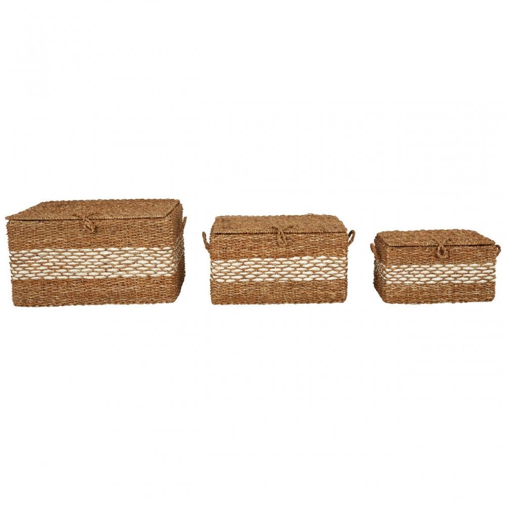 Set Of 3 Rectangular Seagrass Baskets