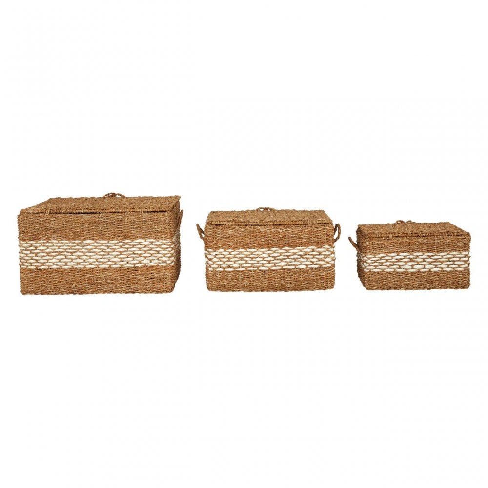 Set Of 3 Rectangular Seagrass Baskets
