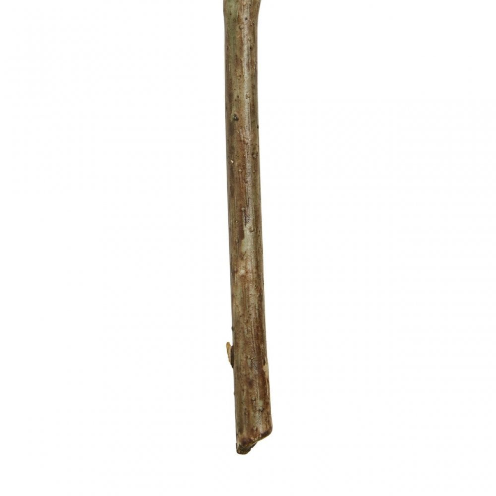 Fiori Pale Lime Hops - 88Cm