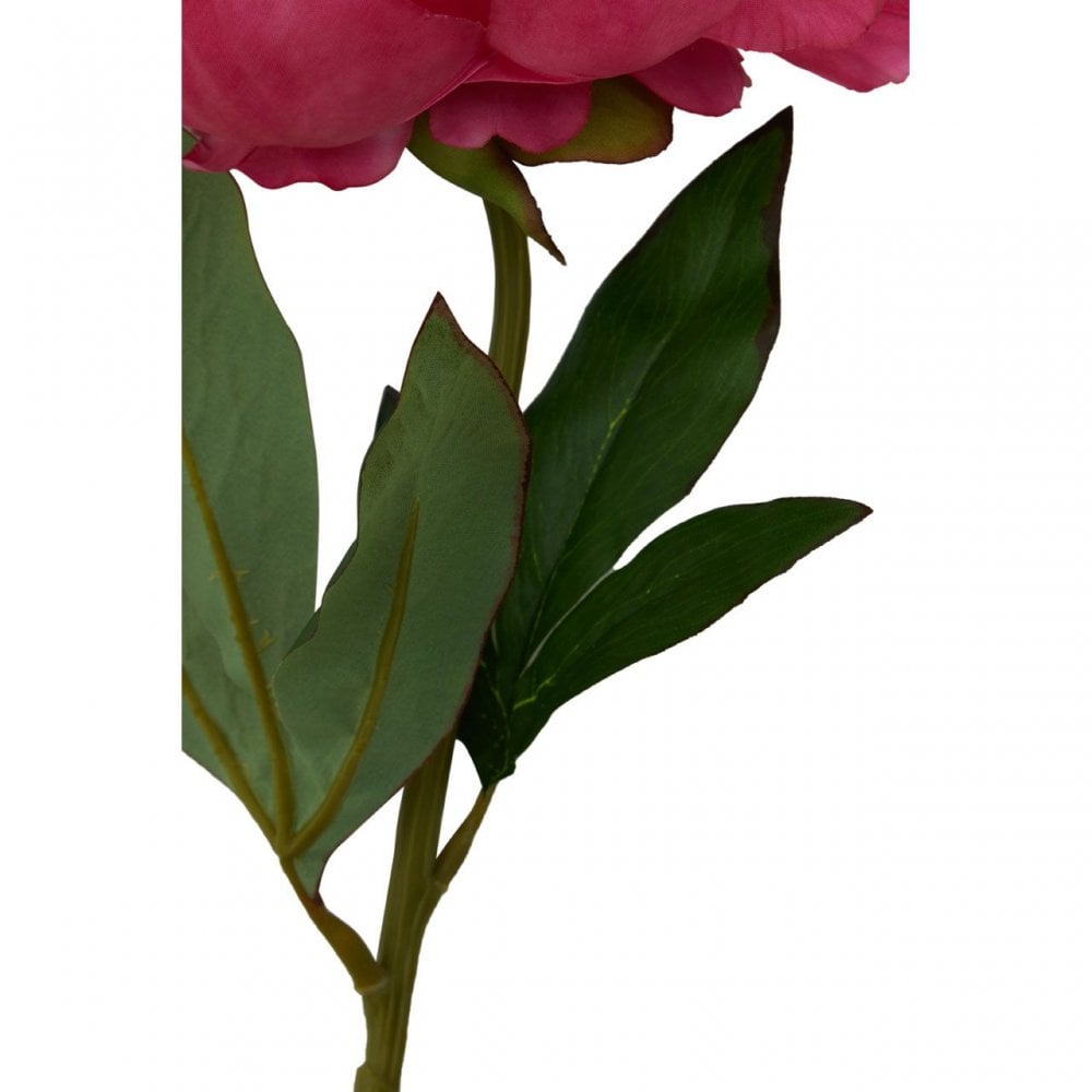 Fiori Peony Stem Fuchsia Flower - 65Cm