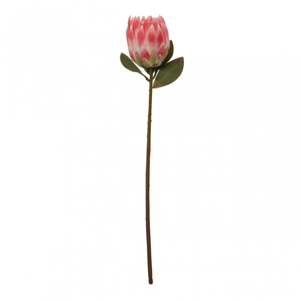 Fiori Protea Stem Pink Flower - 62Cm