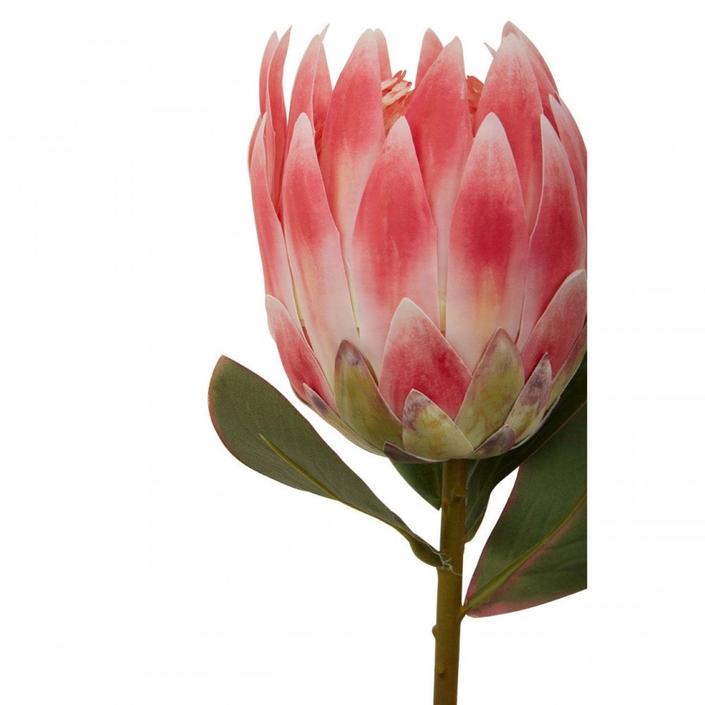 Fiori Protea Stem Pink Flower - 62Cm