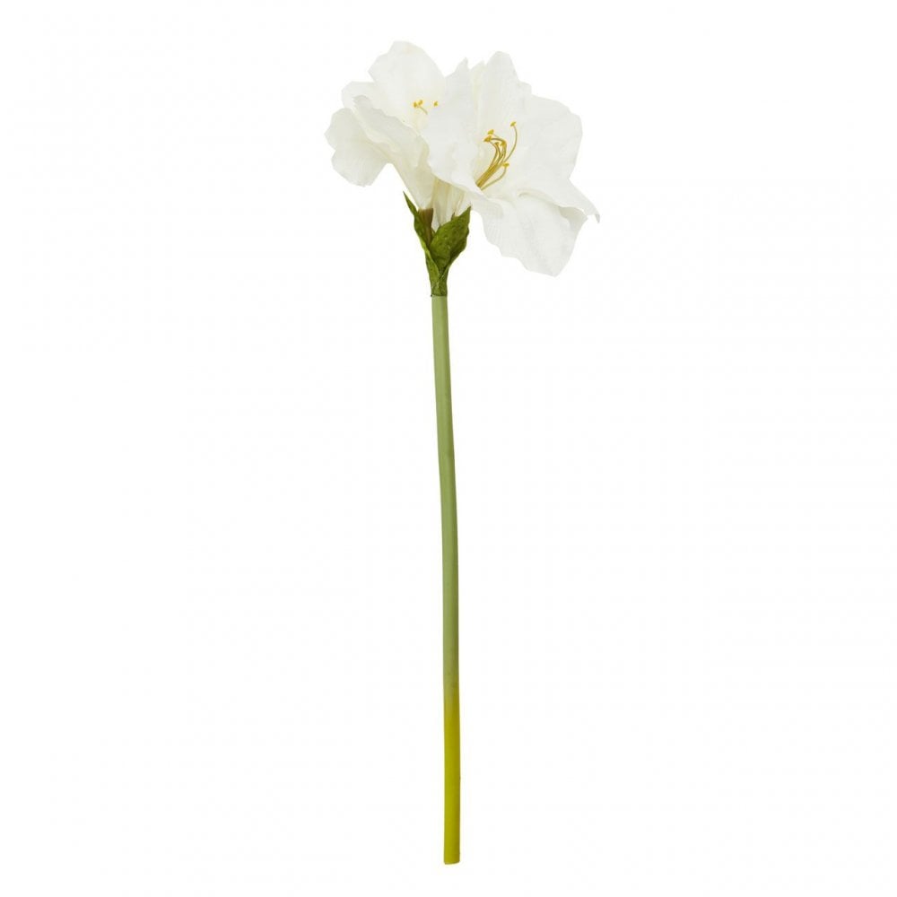 Fiori Amarylilis Stem Ivory Flower - 72Cm