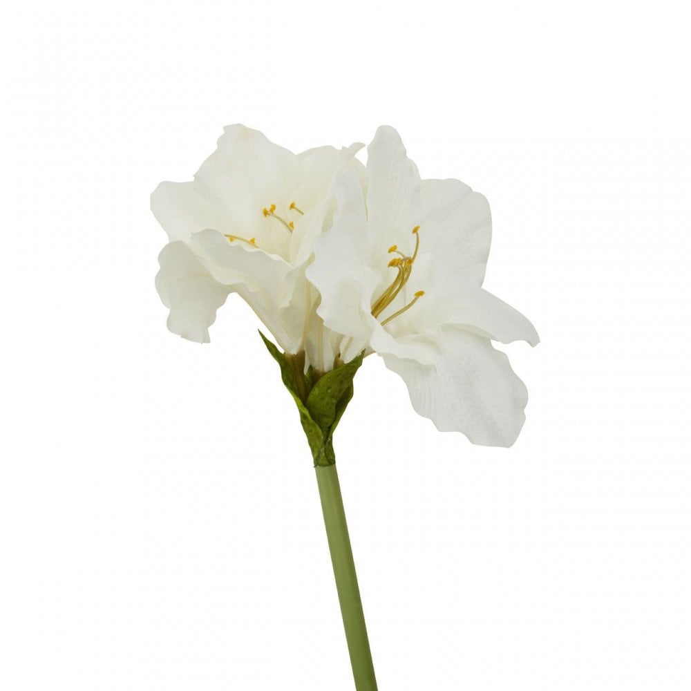Fiori Amarylilis Stem Ivory Flower - 72Cm