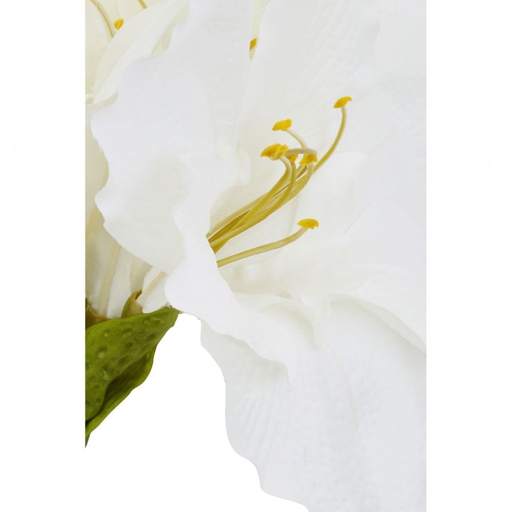 Fiori Amarylilis Stem Ivory Flower - 72Cm