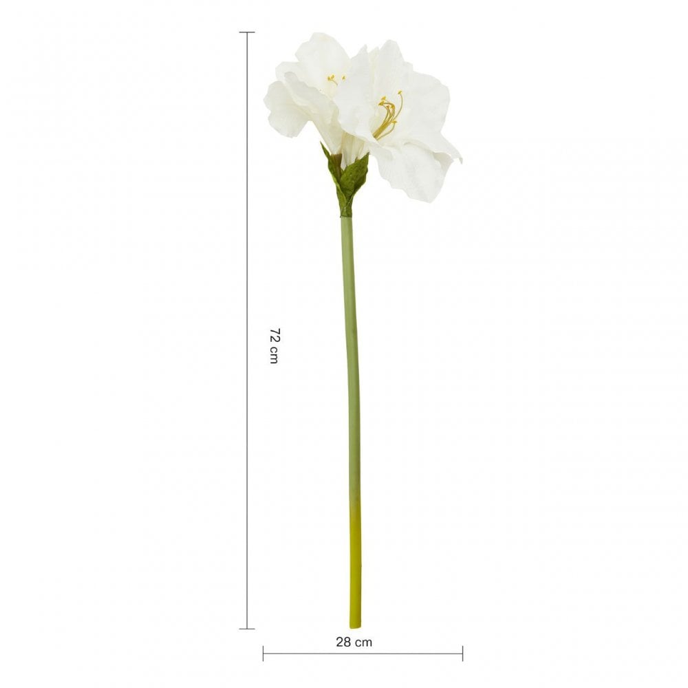 Fiori Amarylilis Stem Ivory Flower - 72Cm