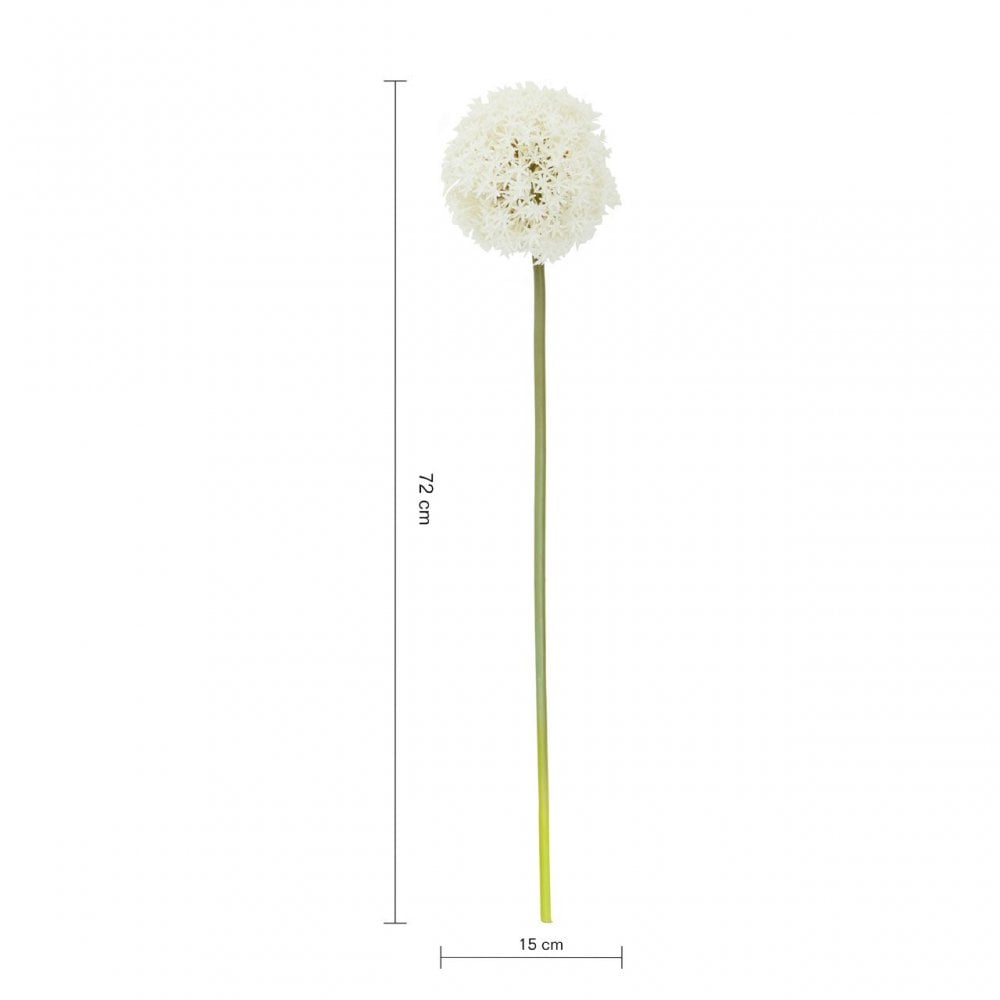 Fiori Allium Stem Ivory Flower - 72Cm