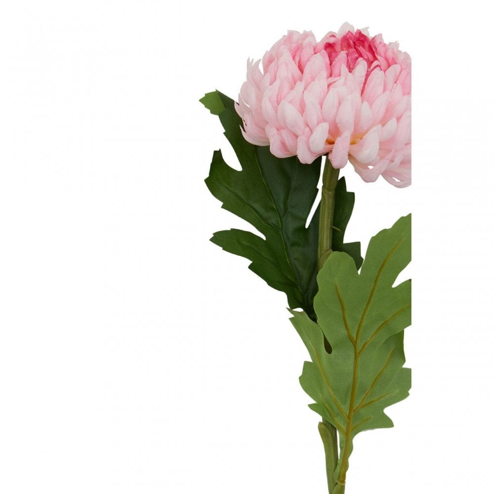 Fiori Chrysanthemum Stem Pink Flower - 84Cm