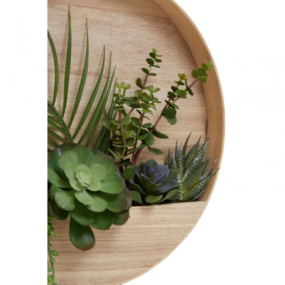 Fiori Mixed Succulents In Wood Wall Planter
