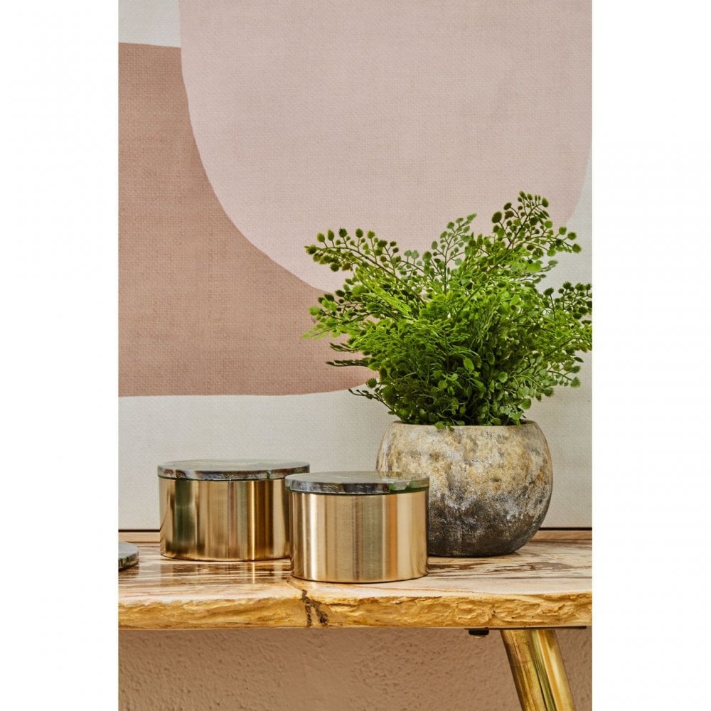 Bowerbird Large Trinket Box