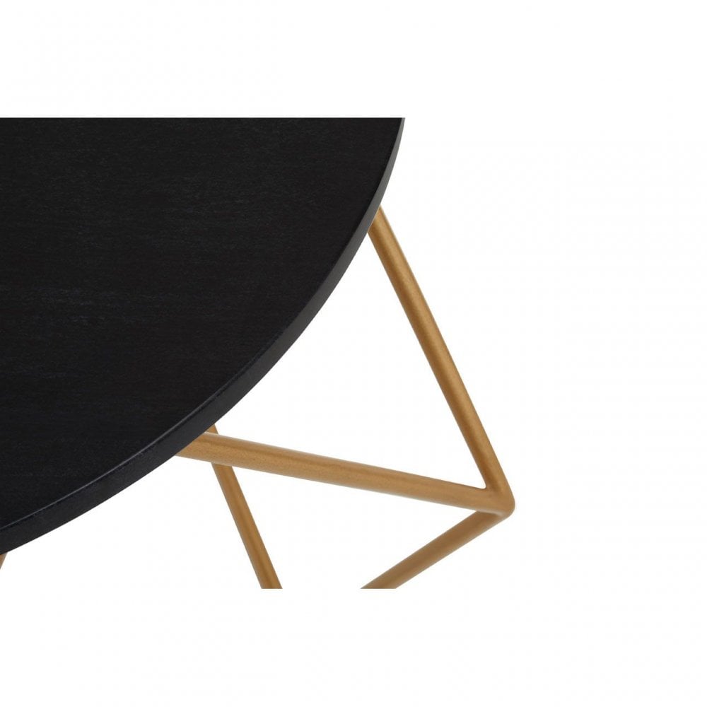 Varana Coffee Table