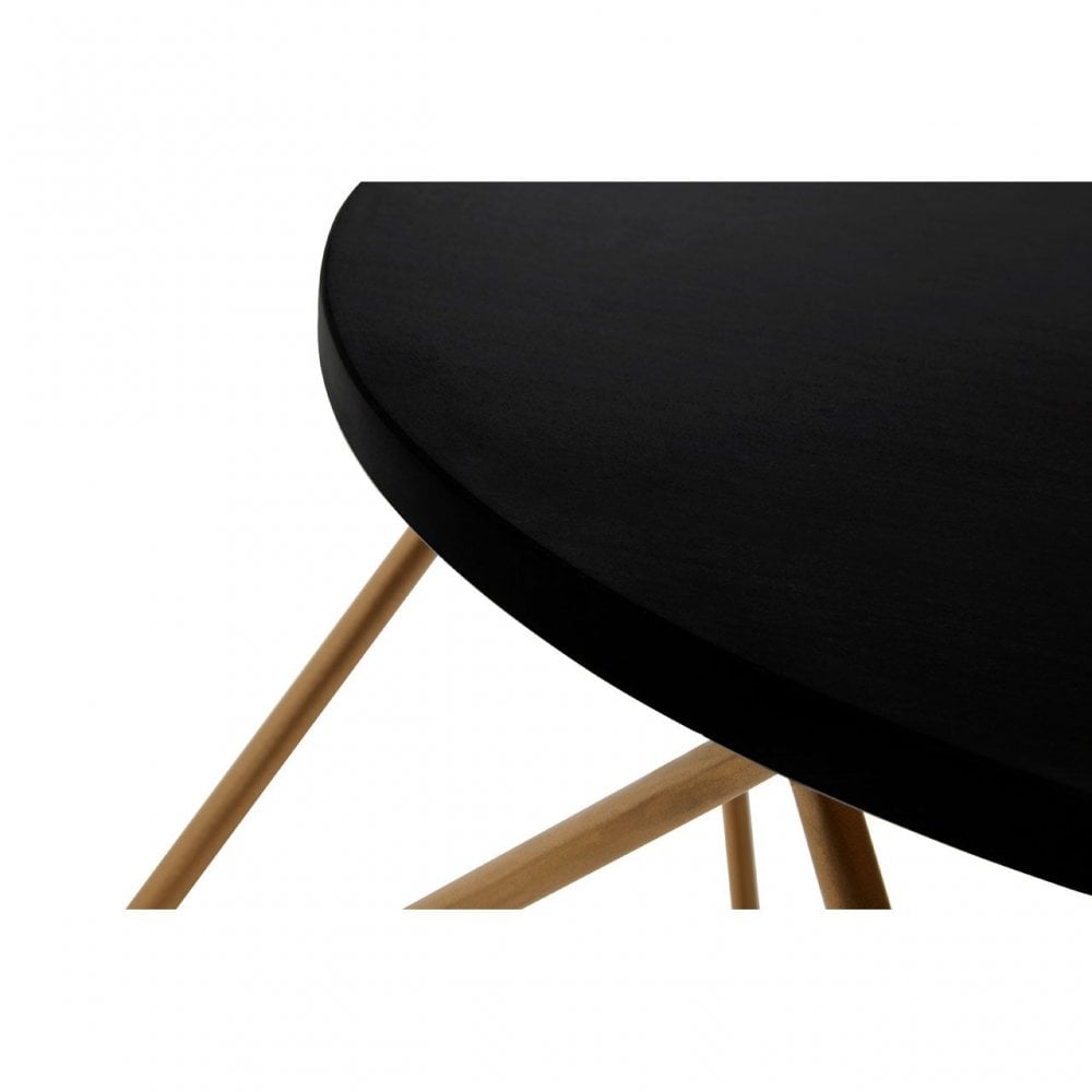 Varana Coffee Table