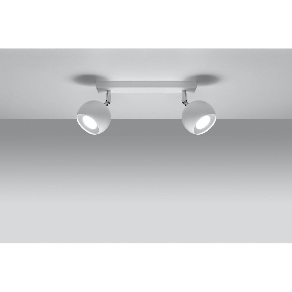 Modern White Dual Light Steel Ceiling Fixture