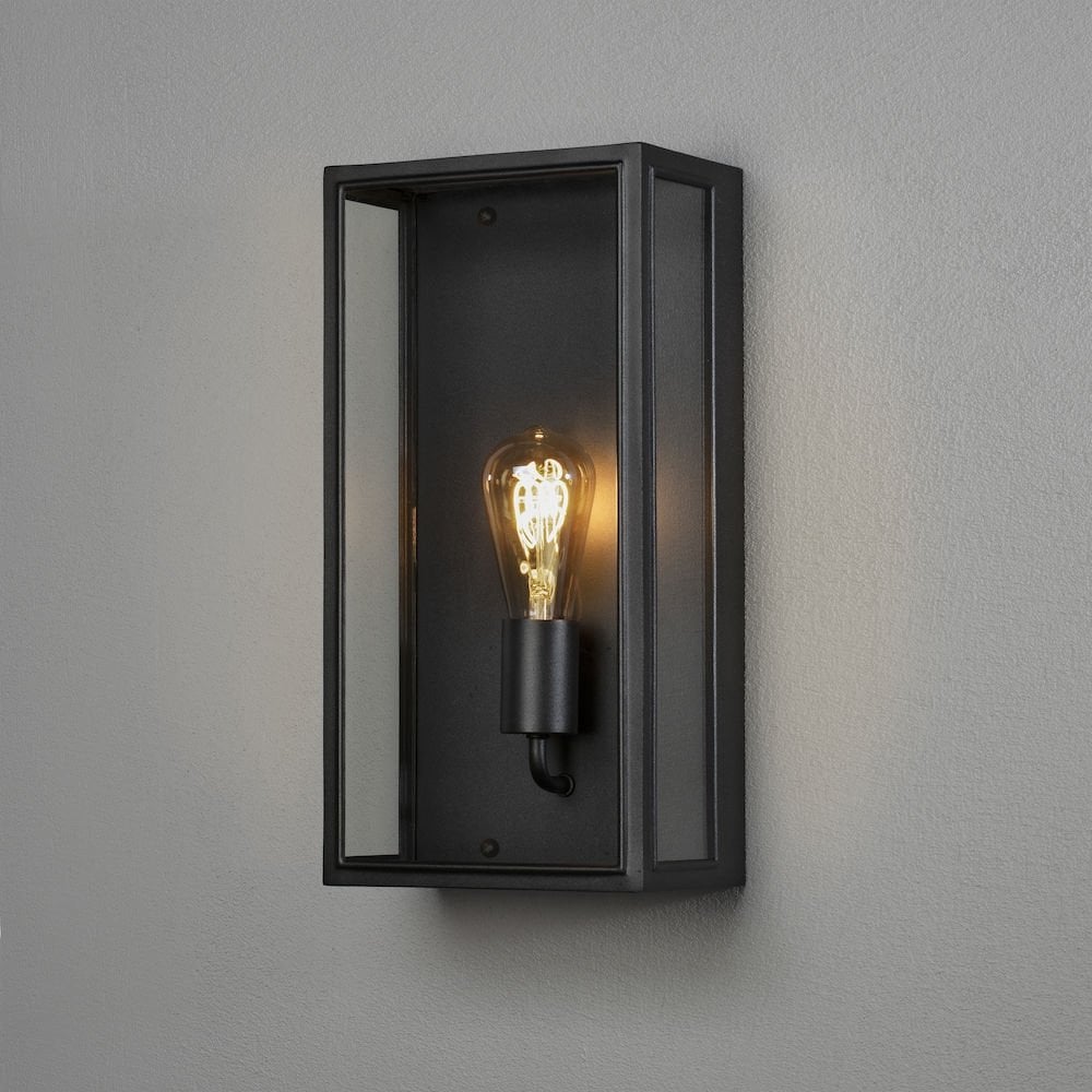 Contemporary Carpi Wall Light - Black with Clear Glass