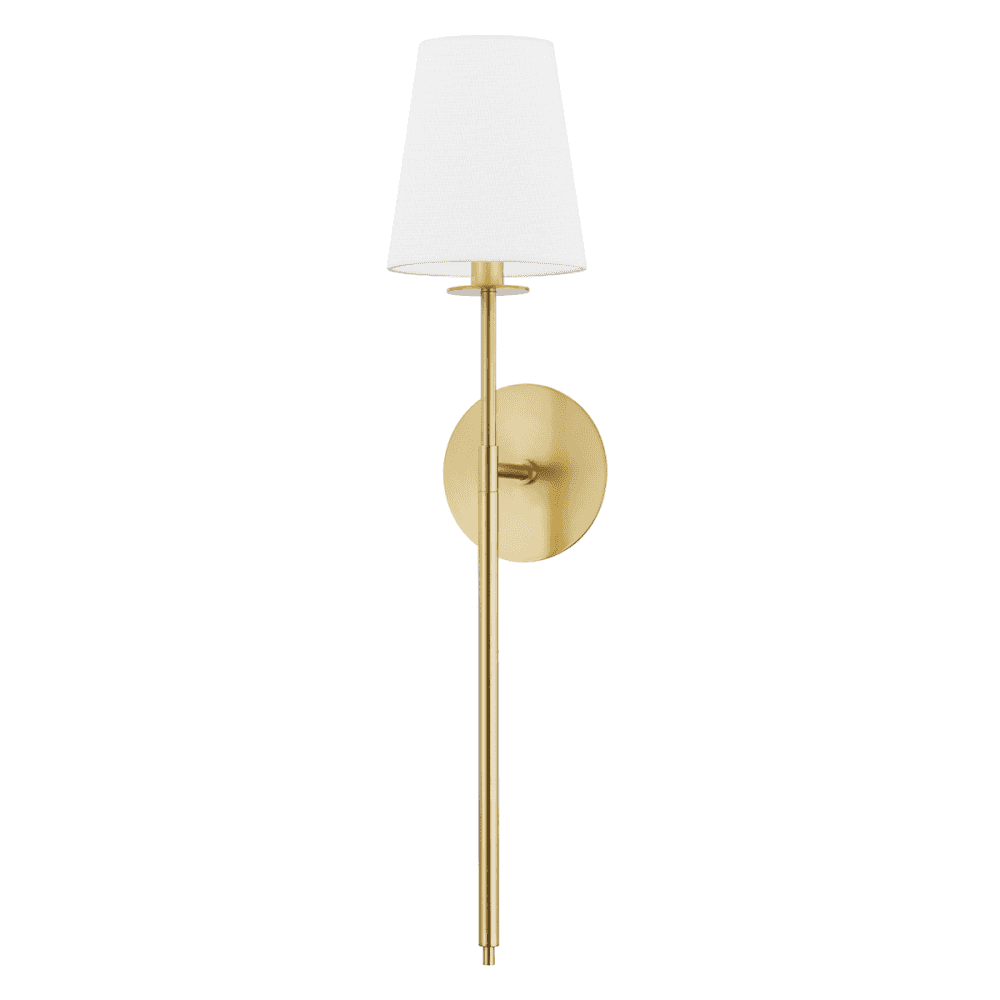 Niagra Agb Elegant Steel and Glass Wall Sconce