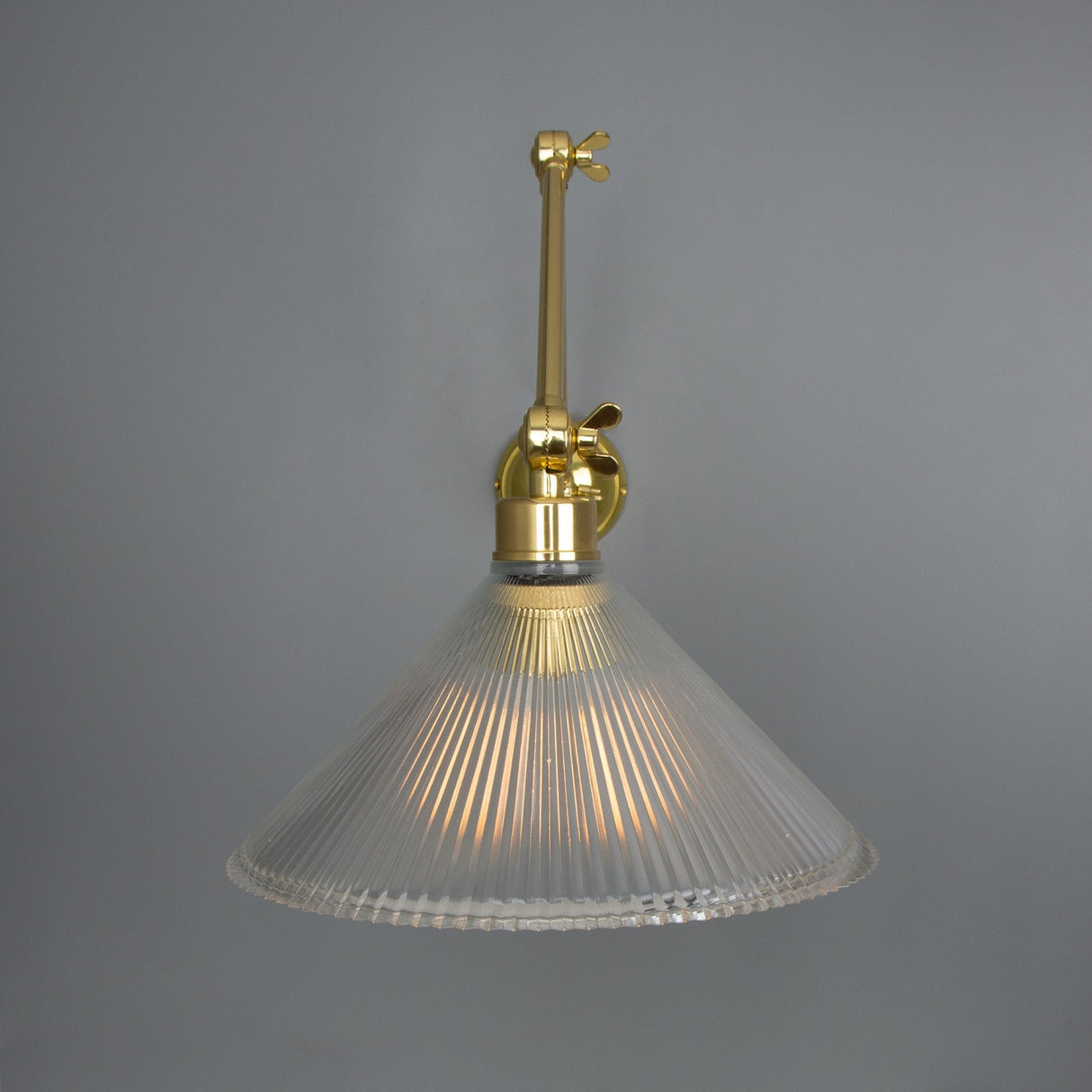 Vintage Brass Adjustable Swing Arm Wall Light