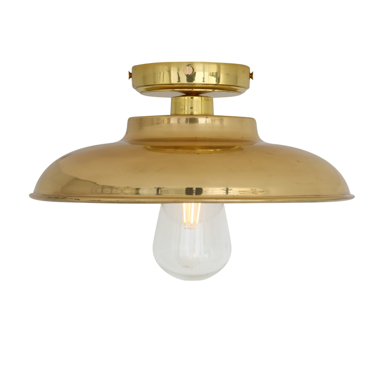 Darya Industrial Ceiling Light in Antique Brass and Clear Glass