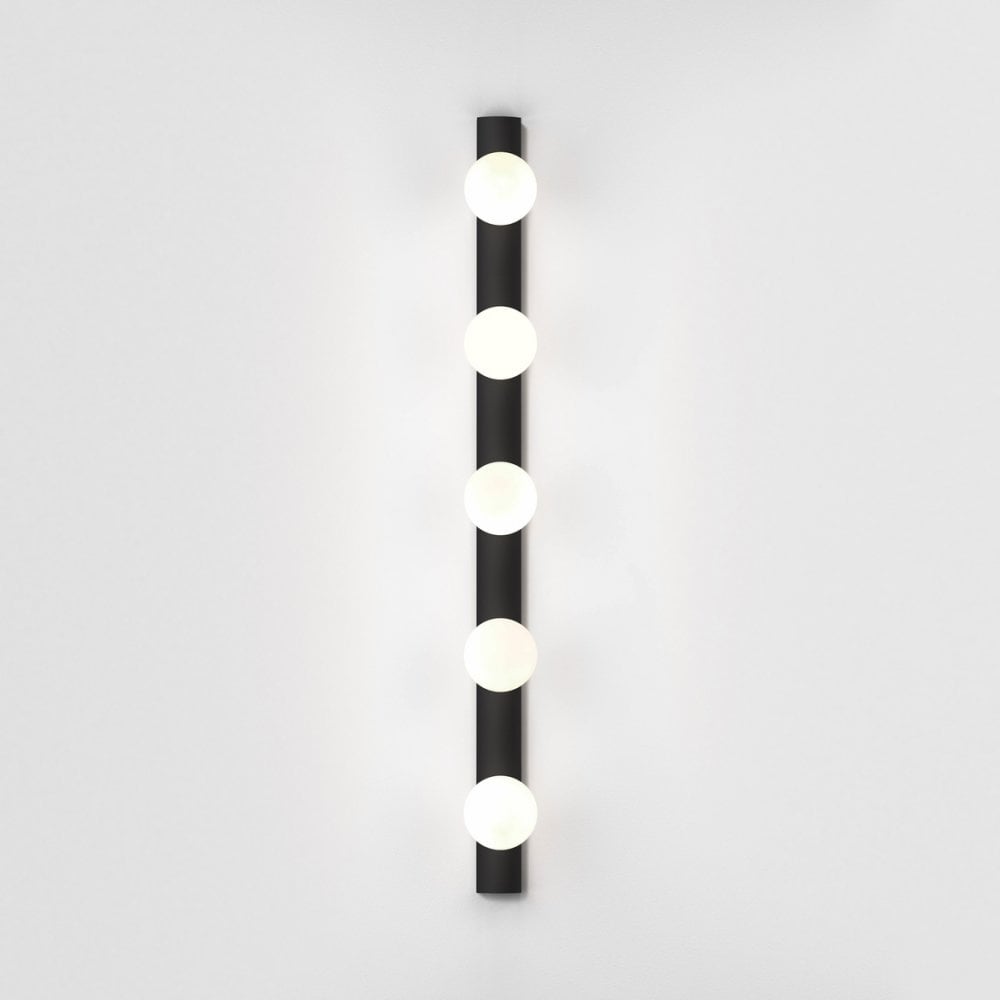 Elegant Matte Black LED Wall Light Fixture