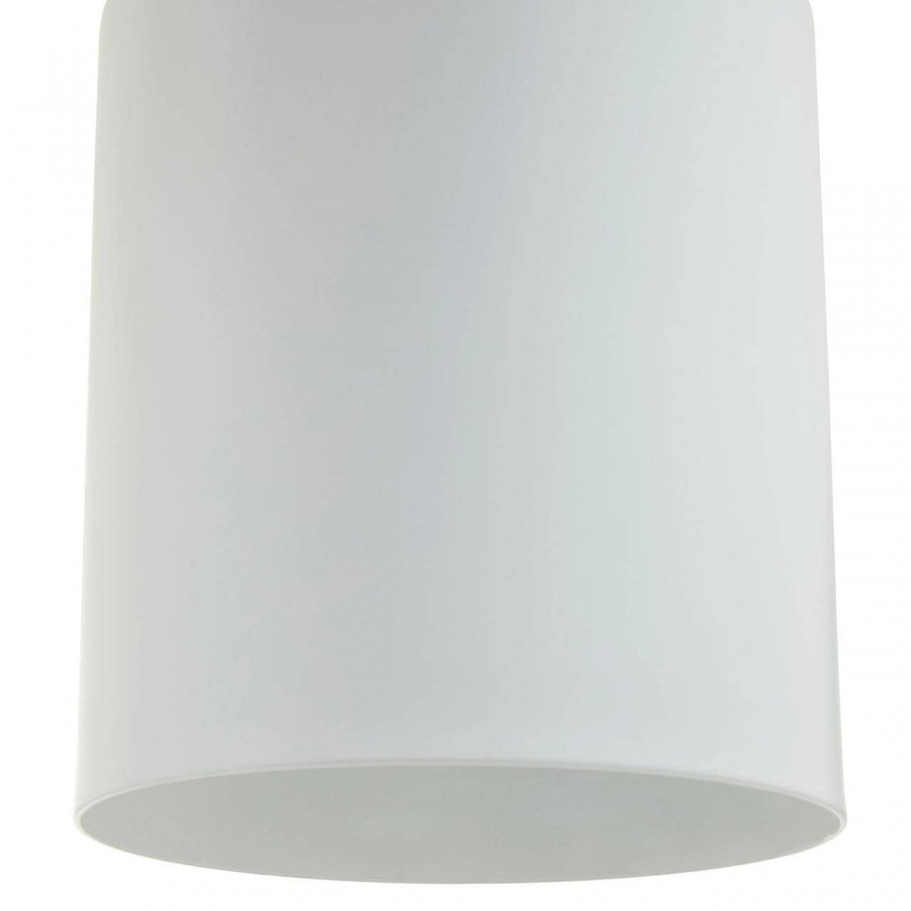 Newton White Shade Desk Lamp