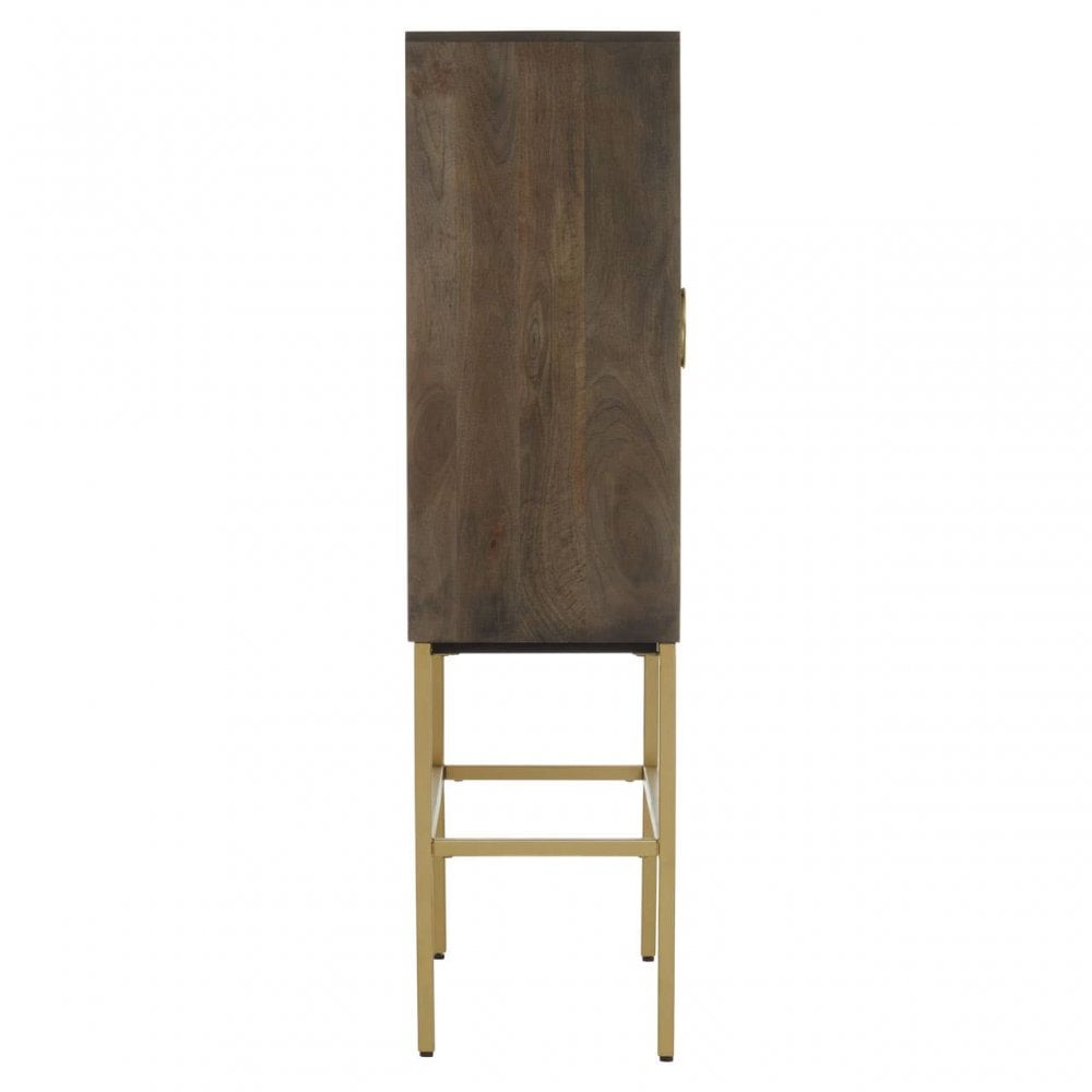 Suri Two Door Cabinet