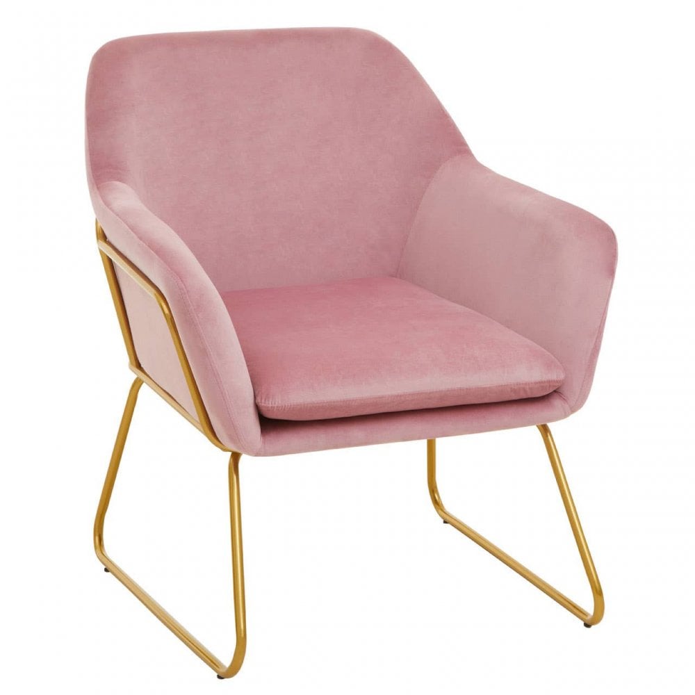 Xander Pink Velvet Powder Gold Armchair