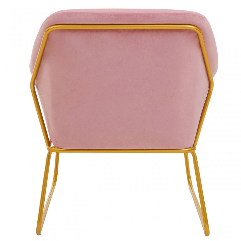 Xander Pink Velvet Powder Gold Armchair