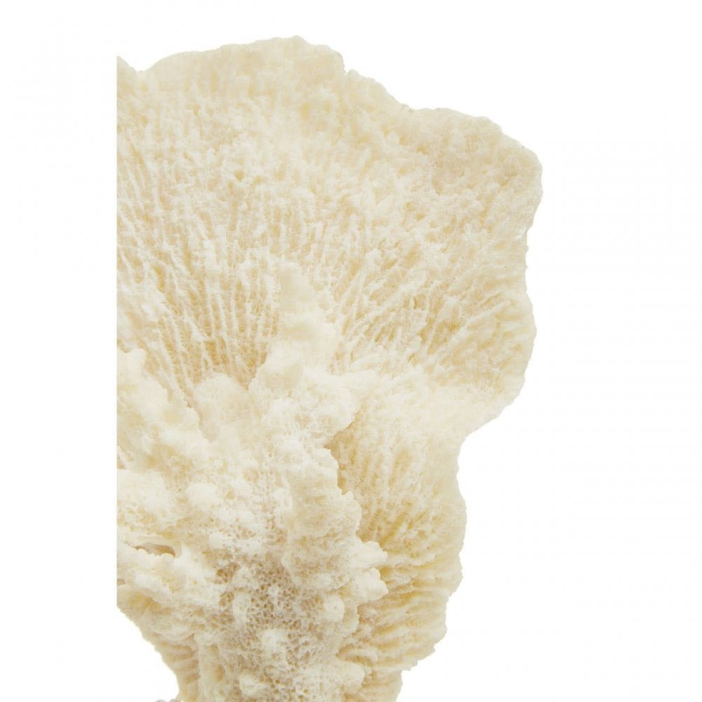 Boho Small White Coral